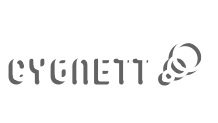 Cygnett 3.5mm Stereo Male/Male