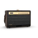 W-KING K6L 120W Large Retro Party Karaoke Wireless Bluetooth Speaker with Microphone, SubWoofer, Theatre, Apple Music