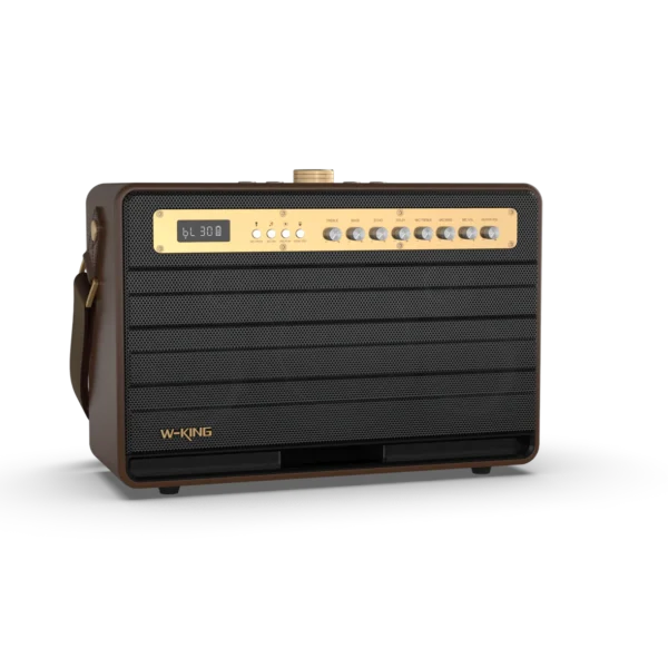 W-KING K6L 120W Large Retro Party Karaoke Wireless Bluetooth Speaker with Microphone, SubWoofer, Theatre, Apple Music