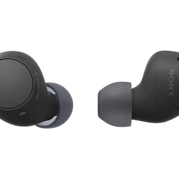 Sony WF-C510 Truly Wireless Earbuds