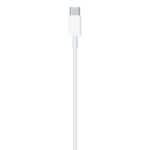 Apple USB-C to Lightning Cable - Image 4