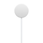 Apple Watch Magnetic Fast Charger to USB-C Cable (1 m) - Image 3