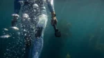 GoPro The Handler Floating Camera Grip - Image 5